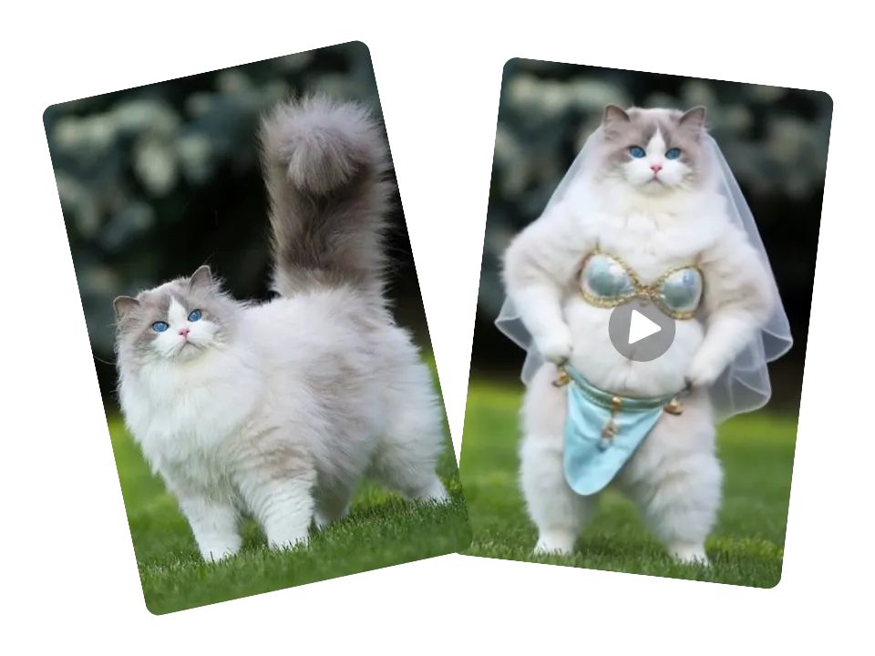 🎥 Ultra-Fun AI Video Generation