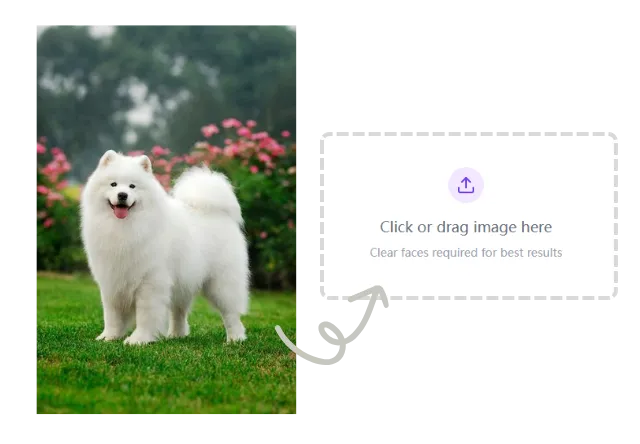 1.Upload a Photo of Your Pet
