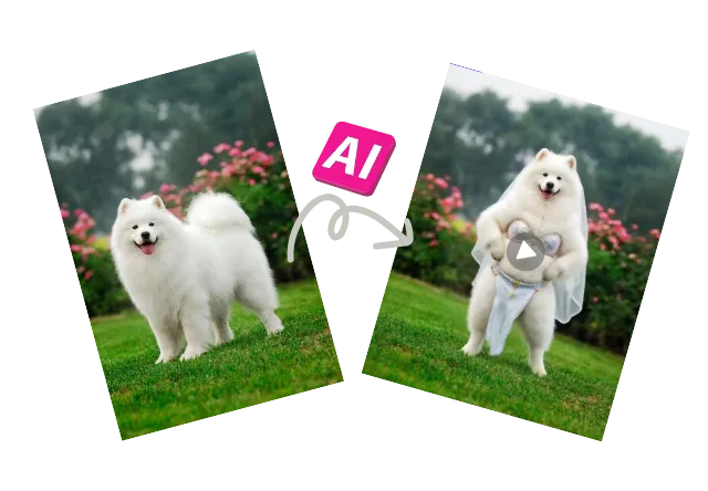2.AI Generates the Belly Dance Video