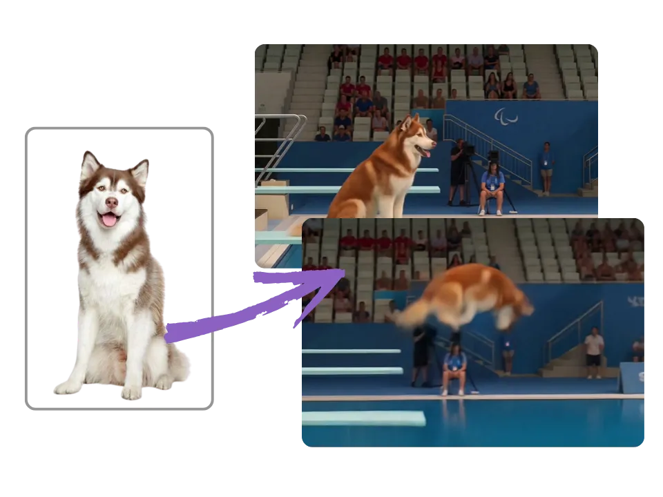 AI-generated diving video from your pet photo