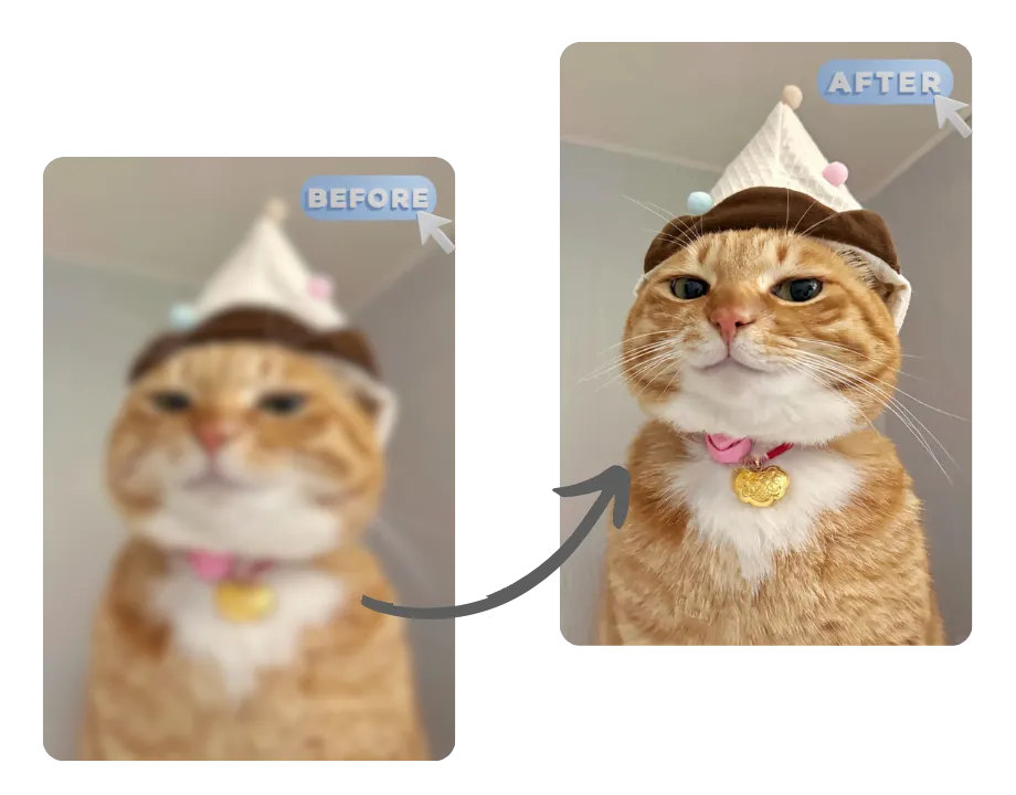 Sharpen Blurry Photos