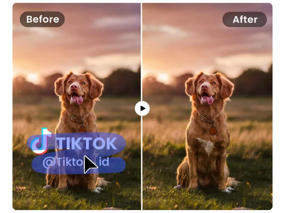 Clean Up Product and Commercial Images