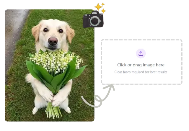 1. Upload a Photo