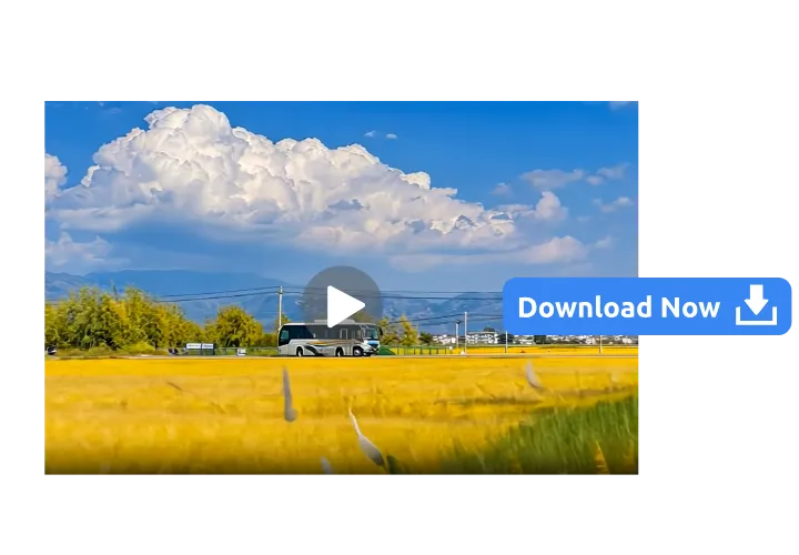 Step 3: Preview and Download