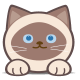 All-in-One Platform for GIF Creation